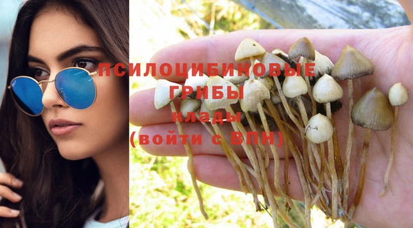 PSILOCYBIN Володарск