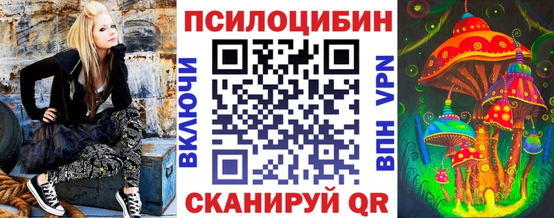 кракен зеркало  где найти   Заречный  Галлюциногенные грибы мицелий 