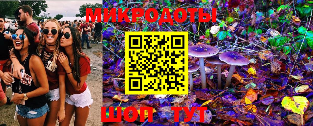 Псилоцибиновые грибы Psilocybe  Псилоцибиновые грибы ЛСД  Заречный 