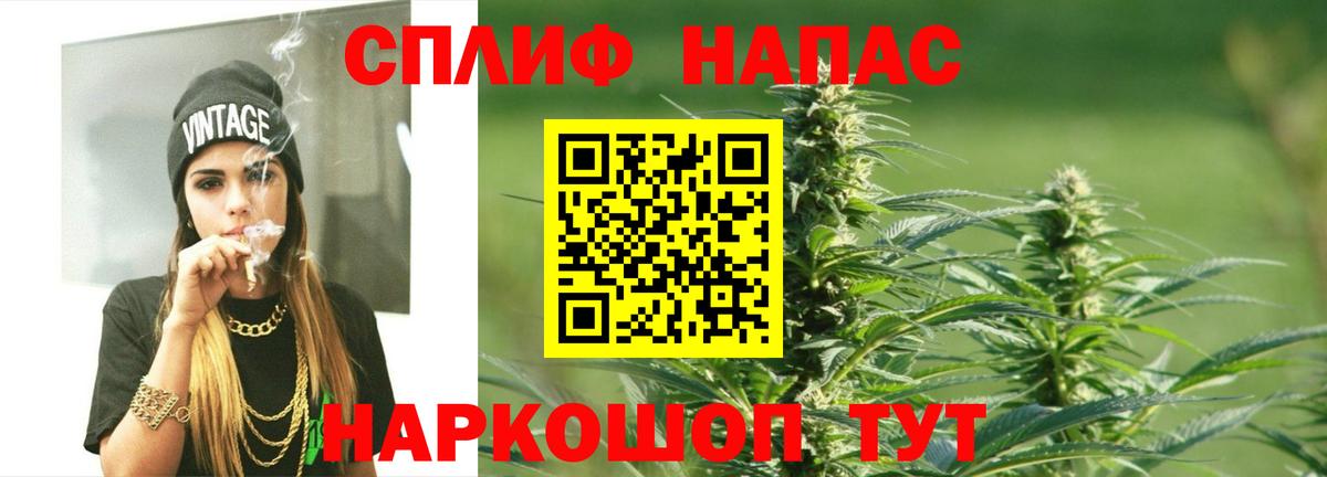 Канабис конопля Заречный
