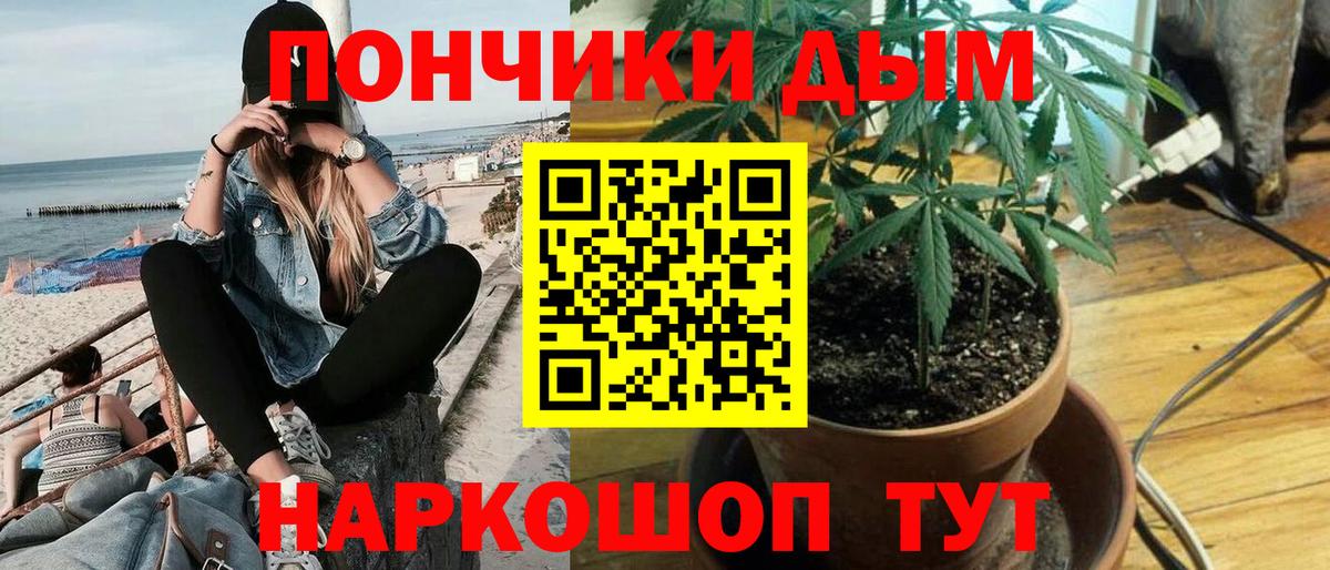 Конопля семена  Марихуана ГИДРОПОН  Бошки марихуана план  Заречный 